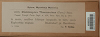 Rhabdospora thuemeniana image